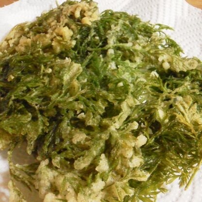 サクサクに出来上がりました(^^)初めて人参の葉の天ぷらを作ったのですが、美味しかったです☆